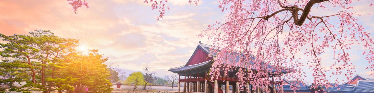 Japanisch A1 - Japanisch leicht gemacht, Teil 1